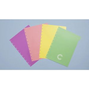 Divisórias Pastel para Caderno Inteligente Grande